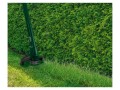 gcp24ab81bfaa314dfca8b18cb9b37dd789.webp